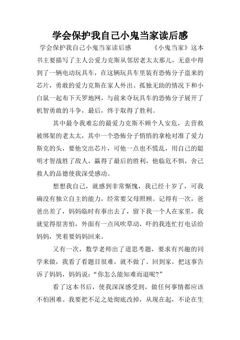 学会保护我自己小鬼当家读后感