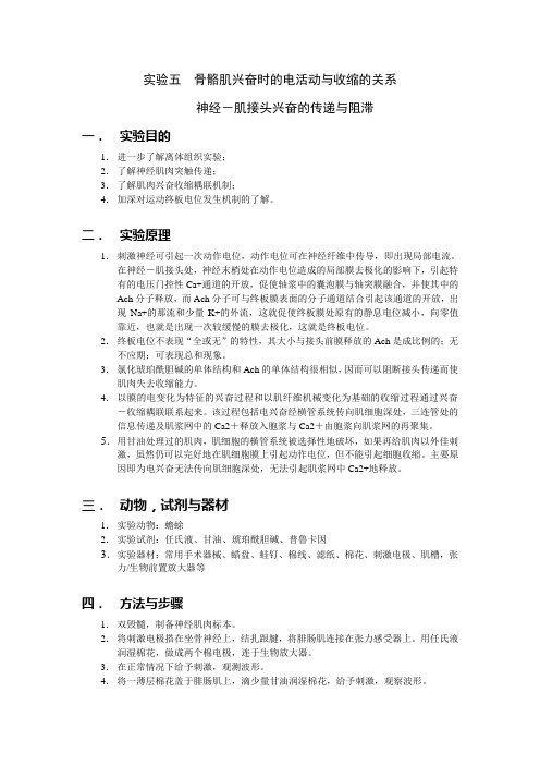 实验五  骨骼肌兴奋时的电活动与收缩的关系