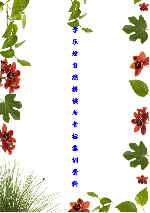 自然拼读法集训资料