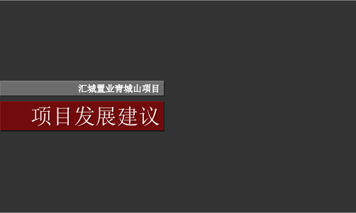 项目发展建议方案(PPT 86页)