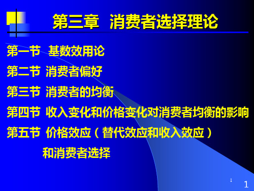 微观经济学第三讲-消费者选择理论PPT课件