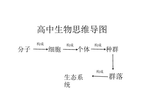 高中生物复习高中生物思维导图