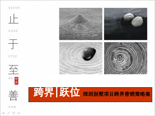 中原_深圳房地产别墅项目跨界营销策略方案_79页_SWOT分析模型_潜在供应_豪宅置业_高位营销