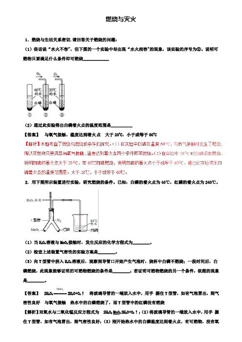 中考化学系列 专题15 燃烧与灭火(含解析)