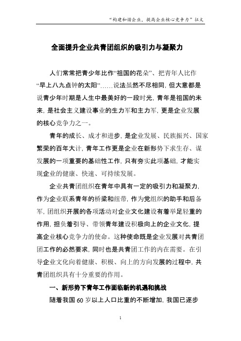 全面提升共青团组织的吸引力与凝聚力