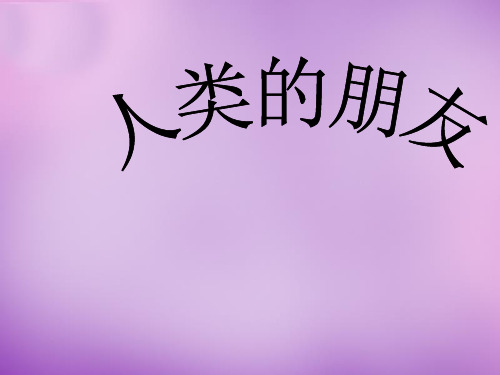 八年级政治下册 第1课 人类的朋友课件 教科版