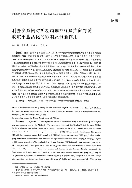 利塞膦酸钠对神经病理性疼痛大鼠脊髓胶质细胞活化的影响及镇痛作用
