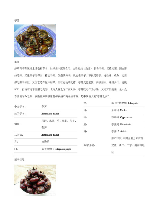荸荠