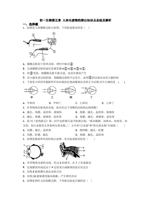 初一生物第五章 人体内废物的排出知识点总结及解析