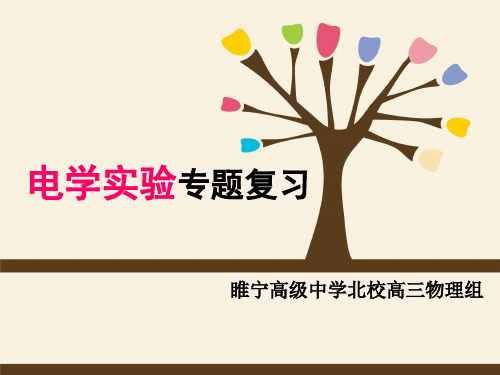 人教版高考物理二轮电学实验课件(共14张)