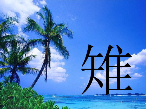 鸡兔同笼 课件(北师大版五年级数学上册)