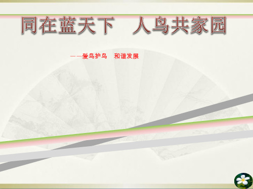 “爱鸟周”主题班会
