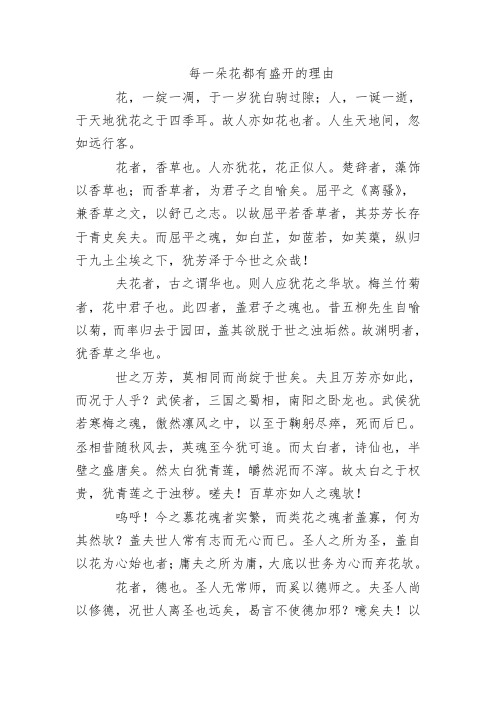 每一朵花都有盛开的理由 (1)