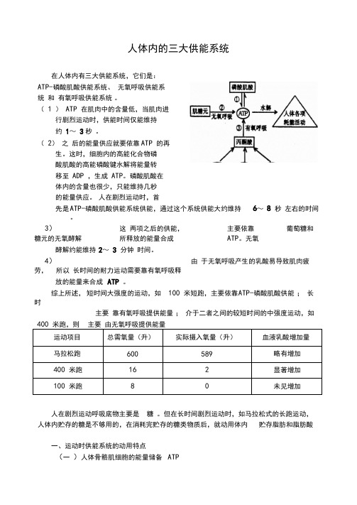 人体供能方式
