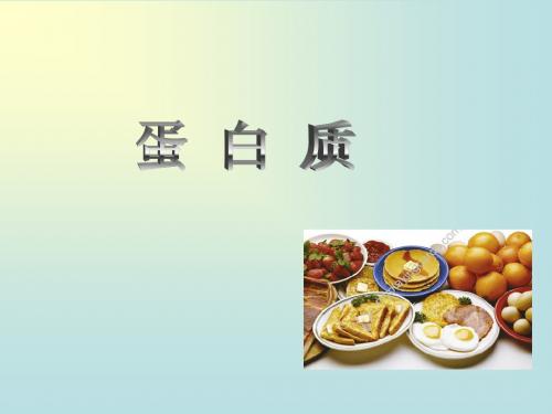 1-1  蛋白质