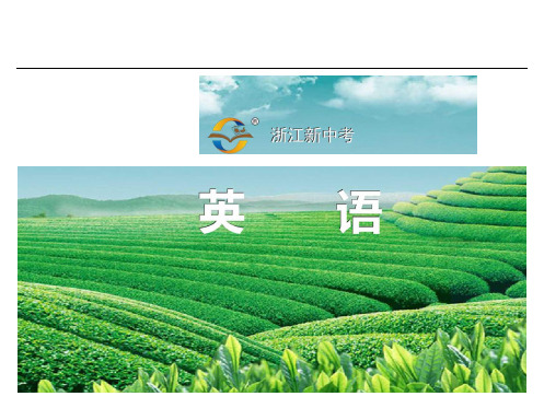 中考英语教材梳理九年级Units～ppt