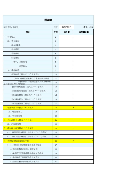 2019最新利润表(新准则)教学资料