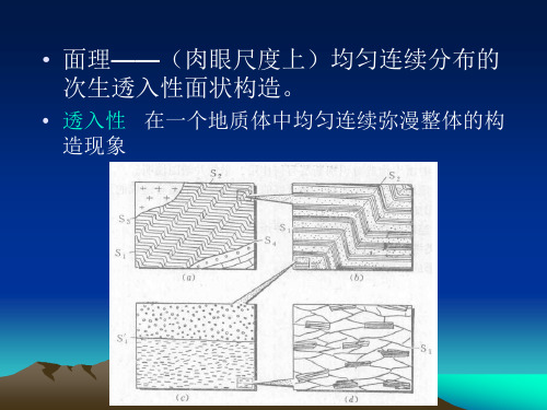 第四章 面理和线理