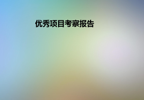 优秀项目考察报告