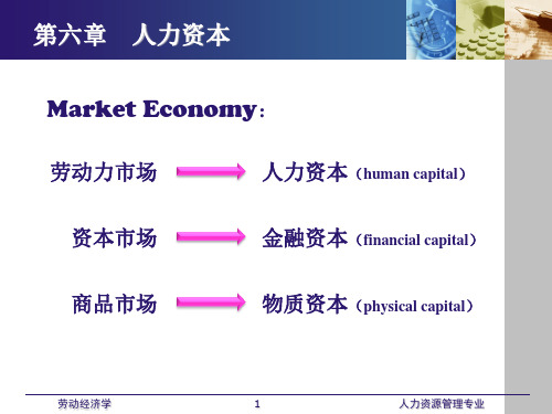 劳动经济学课件(全) 第六章 人力资本
