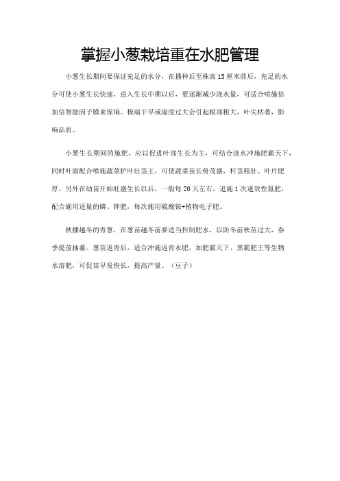 掌握小葱栽培重在水肥管理