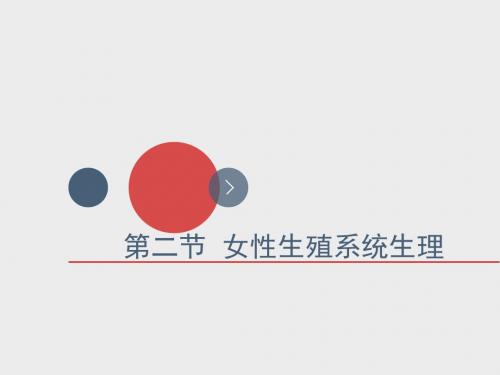 女性生殖系统生理