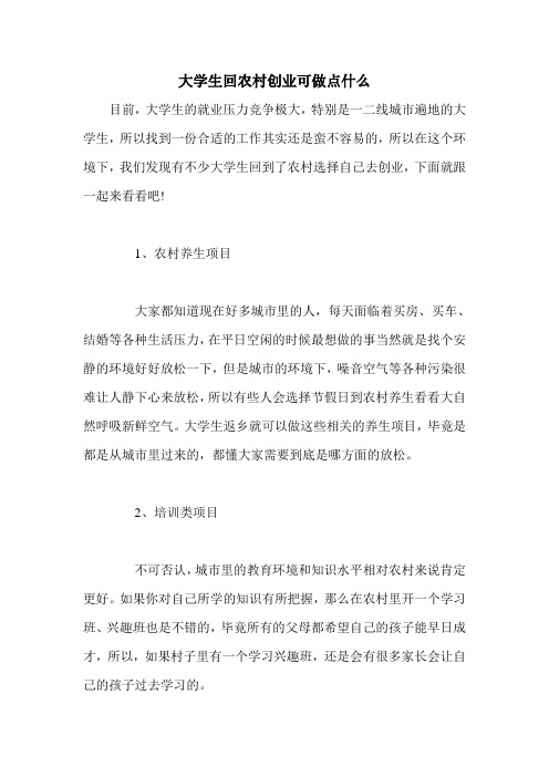 大学生回农村创业可做点什么