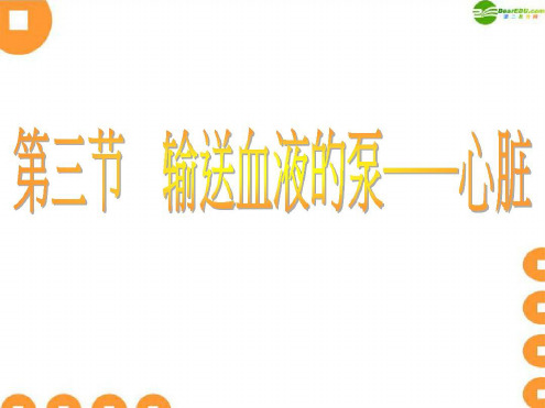 七年级生物下册_心脏课件_人教新课标版[文字可编辑]