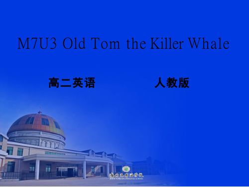 高中英语《Old Tom the Killer Whale》优质教学课件