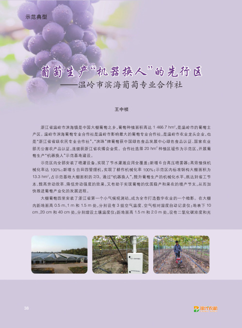 葡萄生产“机器换人”的先行区——温岭市滨海葡萄专业合作社