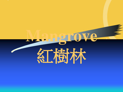 Mangrove 红树林优品ppt资料