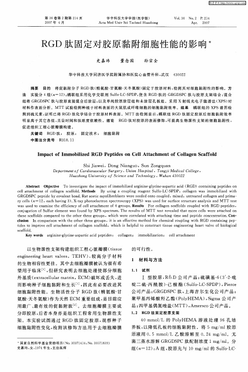 RGD肽固定对胶原黏附细胞性能的影响