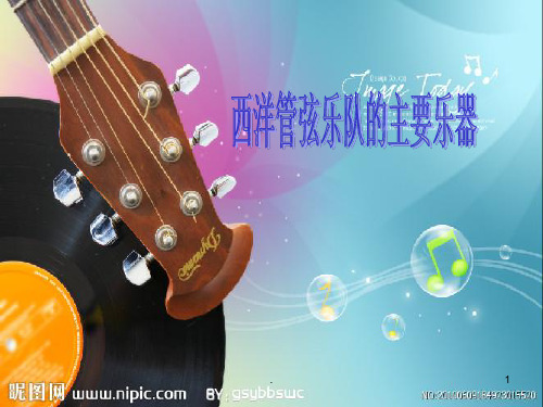 乐器介绍PPT课件