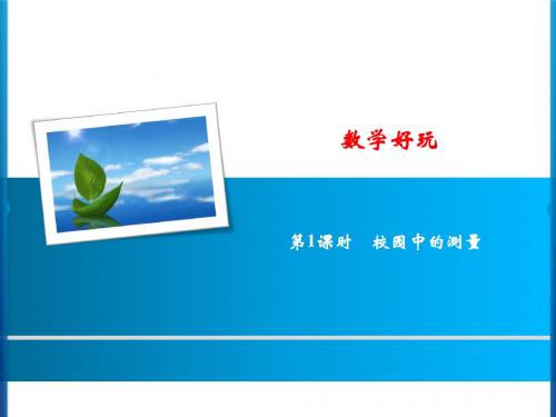 北师大版数学 三年级上册数学好玩 第1课时 校园中的测量
