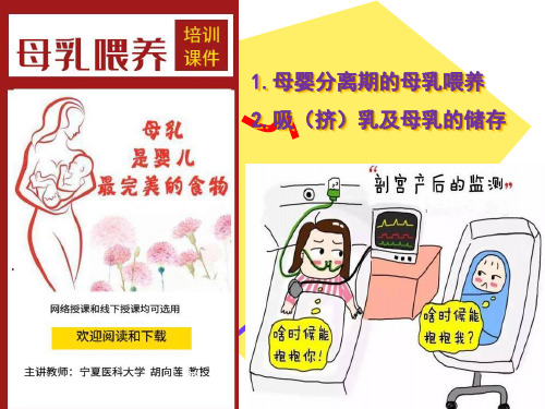 母婴护理全套培训教学课件--母乳喂养(4)