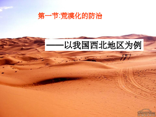 《荒漠化的防止》PPT课件