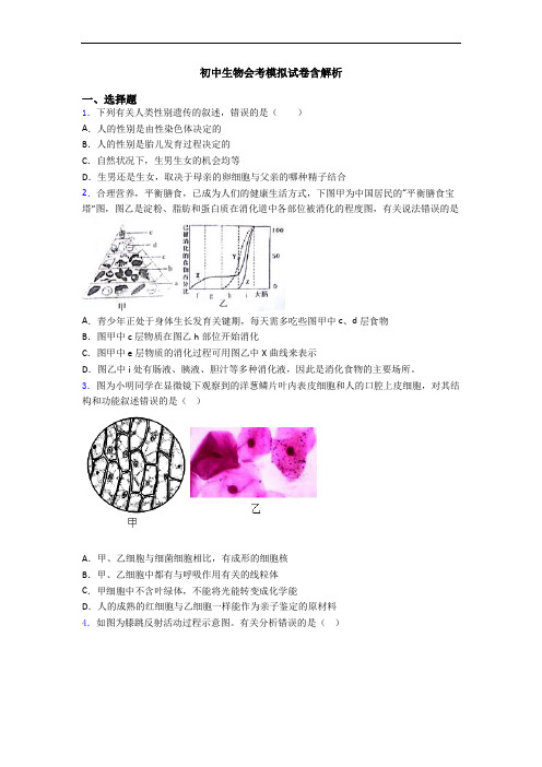 初中生物会考模拟试卷含解析