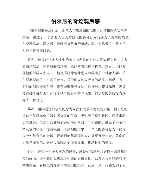 伯尔尼的奇迹观后感