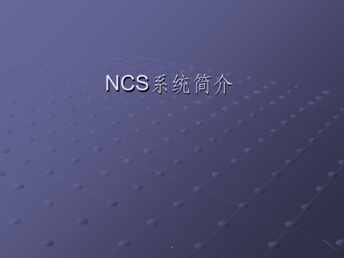 《NCS系统介绍》PPT课件