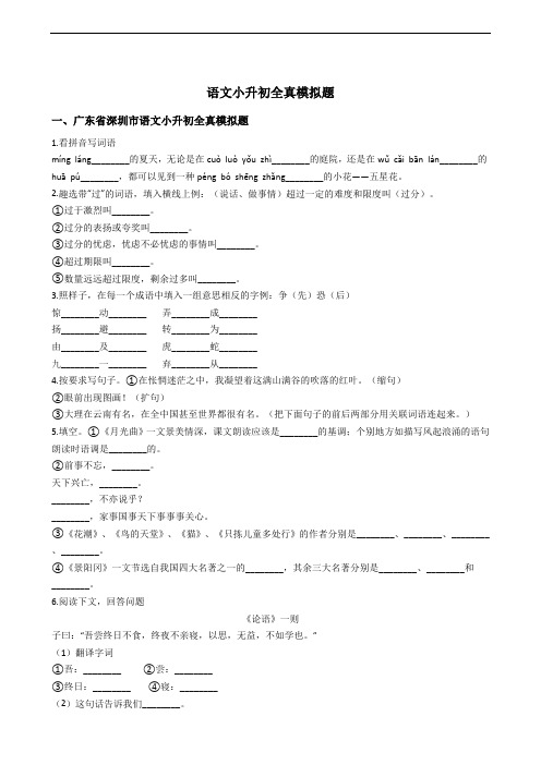 广东省深圳市语文小升初全真模拟题附答案