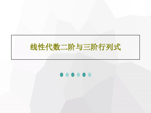 线性代数二阶与三阶行列式29页PPT