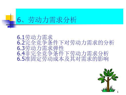 劳动力需求分析PPT课件