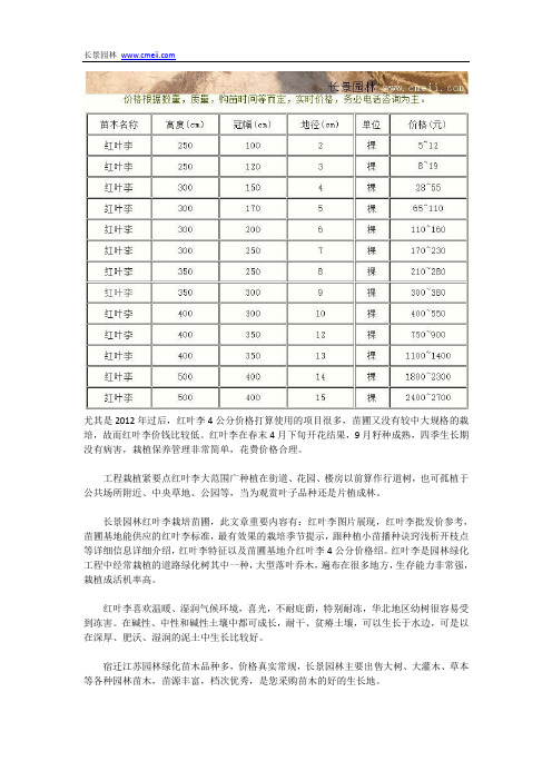 红叶李4公分