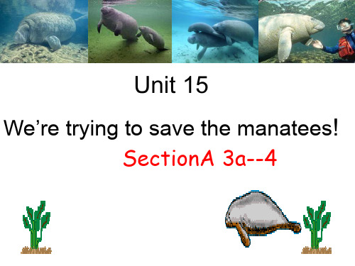 初中英语九年级 Unit 15 We're trying to save the manateese!-