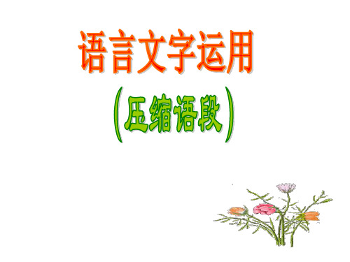 高考语文语言文字运用课件(2019年新版)