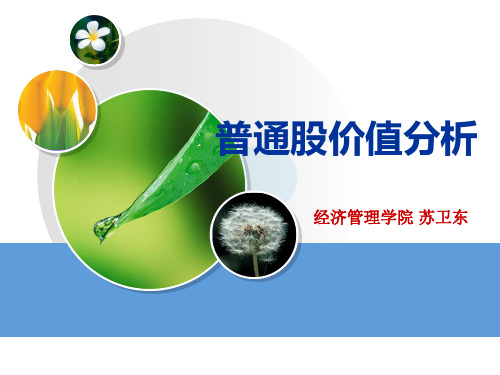 普通股价值分析教材(PPT 90页)