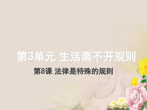 遵守法律规则PPT课件1 北师大版