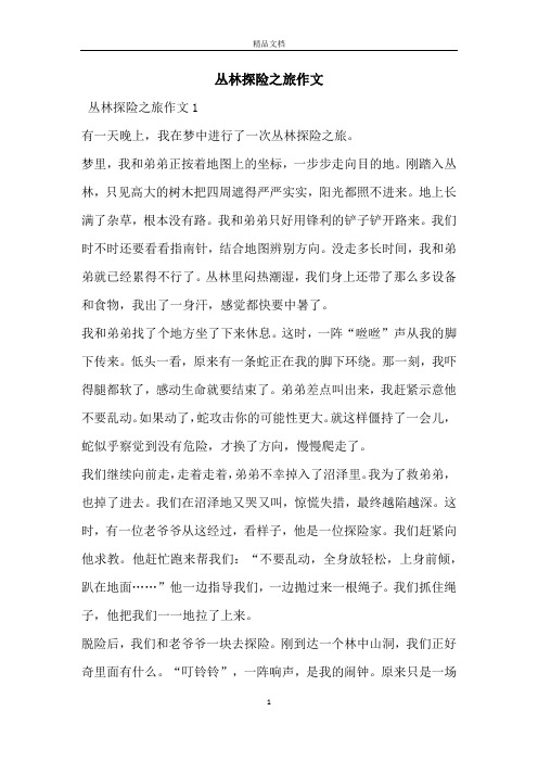 丛林探险之旅作文