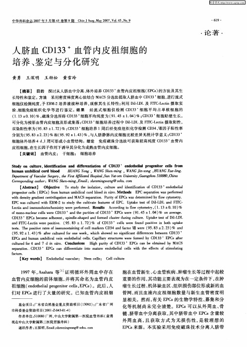 人脐血CD133 +血管内皮祖细胞的培养、鉴定与分化研究