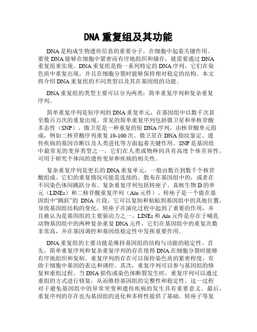 DNA重复组及其功能